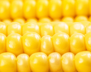 corn