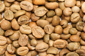 Obraz premium Dry green coffee beans (Coffea arabica)