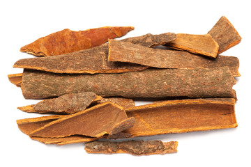 Cinnamomum camphora or Cinnamon bark