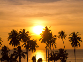 Burning Skies Evening Scene