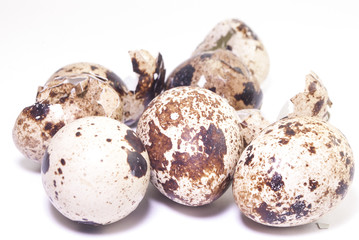 Obraz premium яйцо.