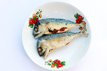 Mackerel