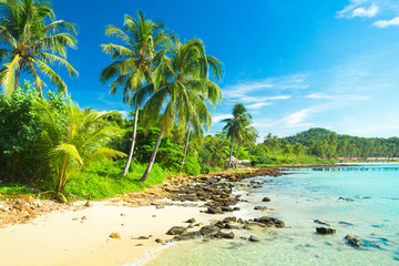 Idyllic Island Coconut Coast