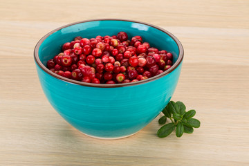 Cowberry