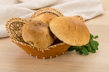 Boletus mushroom