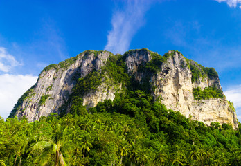 Fototapeta premium Serene View Green Mountains