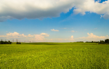 Green Plain Nobody Outside