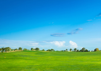 Wide Green Fairway