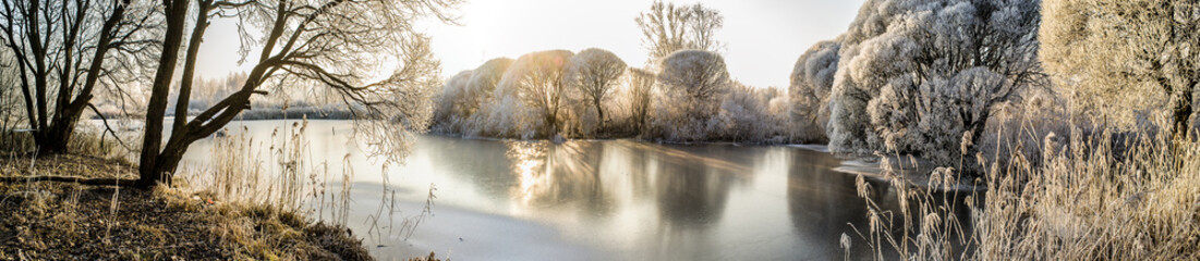 Panorama of the frozen lake and snow-covered trees - obrazy, fototapety, plakaty