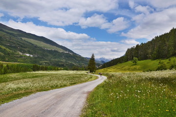Fototapeta na wymiar Swiss Alps-cyclist on the route from Scuol