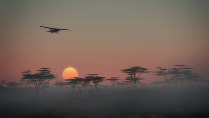Airplane flying over misty savannah landscape at dawn. Low persp