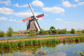 Naklejka premium Windmills
