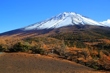 Mt.Fuji with autumn leaves