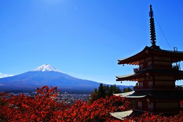 The Japan