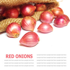Red onions isolated in burlap isolated on white background