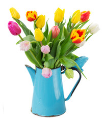 bouquet of multicolored   tulip flowers in blue pot