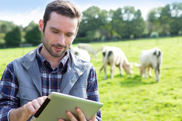 Young attractive farmer using tablet in a field