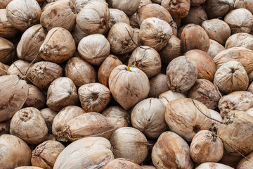 Stack of the old coconut