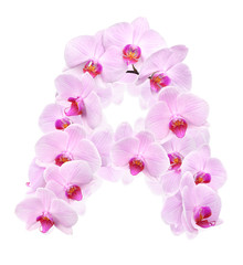 letter A from orchid flowers