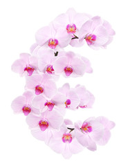 letter EUR from orchid flowers
