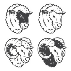 Vector illustration of 4 sheeps and rams heads.