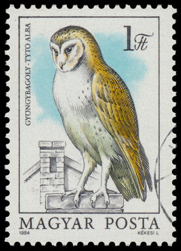 Stamp shows image of a Barn Owl