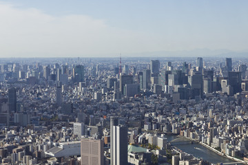 Fototapeta premium Tokyo Skyline