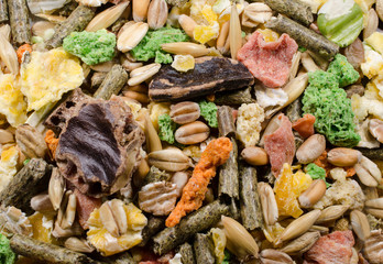 Meerschweinchenfutter (close-up)