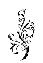 Illustration the retro vintage element for design