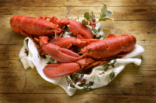 Homarus americanus American lobster Expo Milano 2015