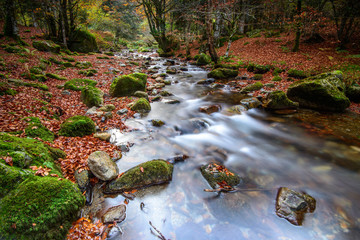 ruisseau de la coubrière