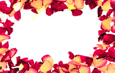 Roses flowers frame on white background card - 73623024