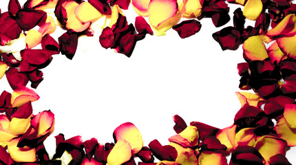 Roses flowers frame on white background card - 73623049