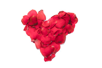 Heart shape roses flower card on white background - 73623212