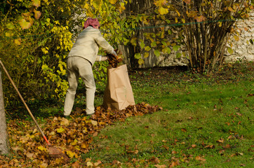 automne