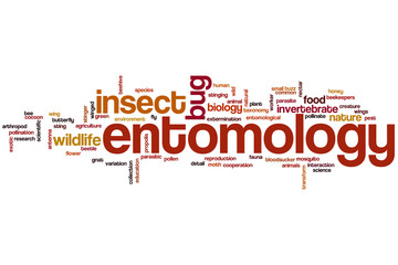 Entomology word cloud