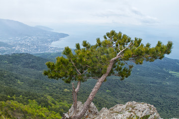 Ai-petri Crimea Landscape