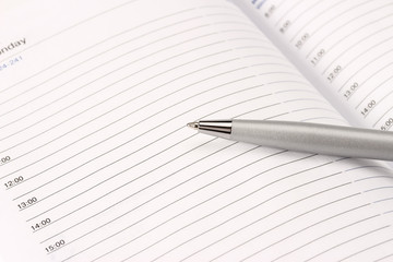 Naklejka premium Diary