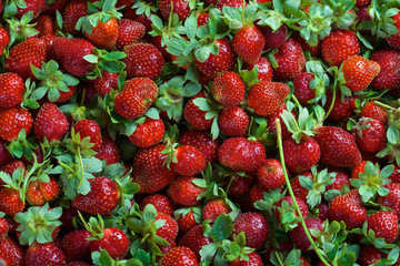Seamless texture of juicy strawberries