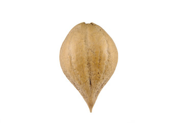 nut  heart-shaped