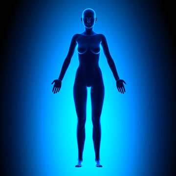 Full Female Body - Front View - Blue concept