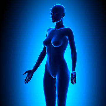 Full Female Body - Isometric View - Blue concept