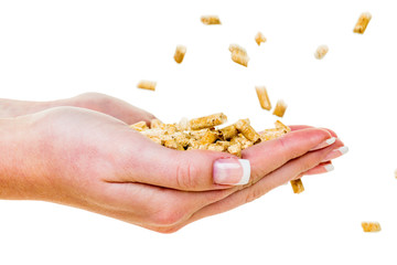 Hand mit Pellets als alternatie Energie