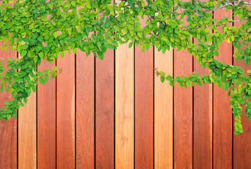 Wood plank background and texture