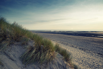 Summer evening landscape view over grassy sand dunes on beach wi