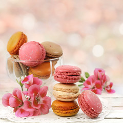 Macaroons traditional Parisian cookie