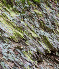 Felswand im Steinbruch am Bromberg