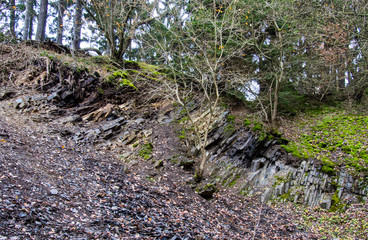 Geröllhalde unter einer Bruchkante im Steinbruch am Bromberg