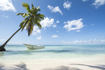 Fototapeta na wymiar Idealic Caribbean coastline with boat
