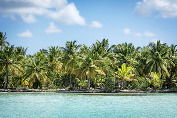 Caribbean coastline
